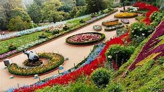 Rose Garden Tour